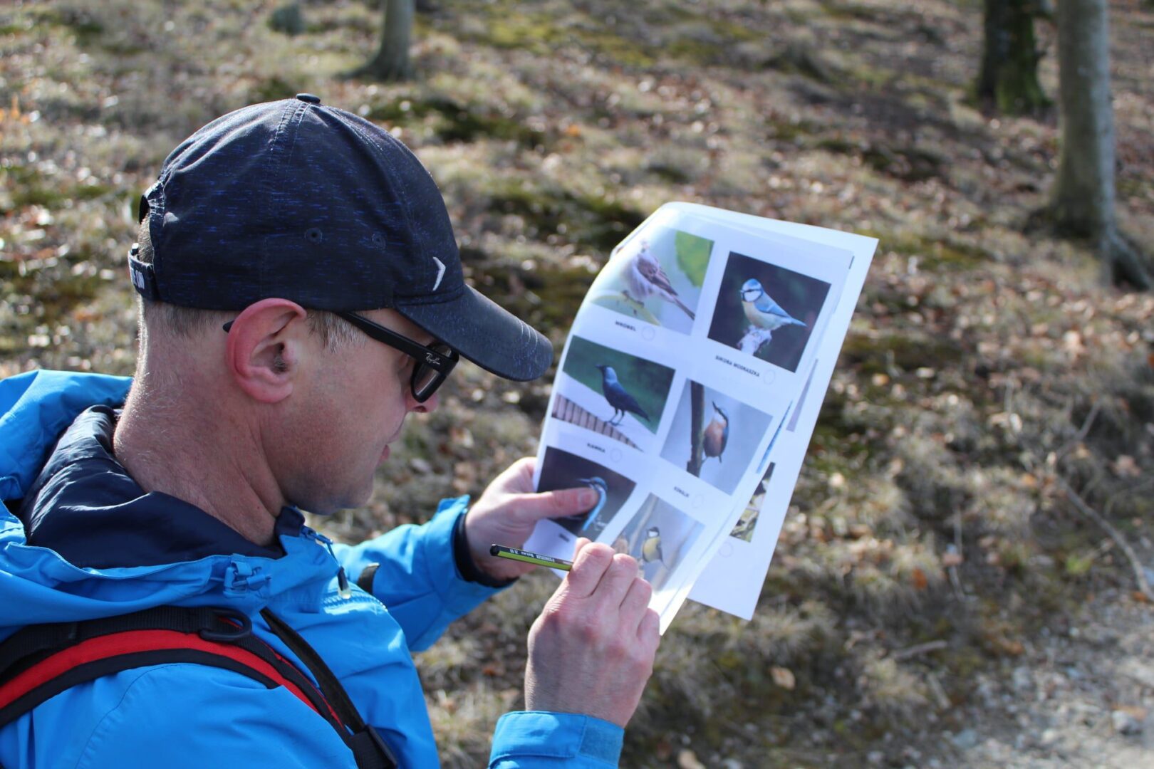 Międzynarodowy Dzień Ptaków