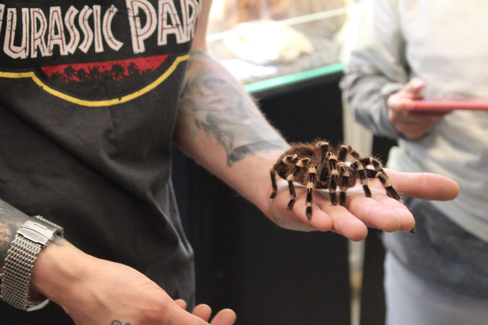 Wystawa pająków i skorpionów.