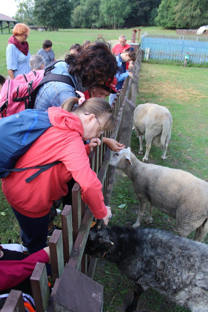 Gospodarstwo JuchowoFarm