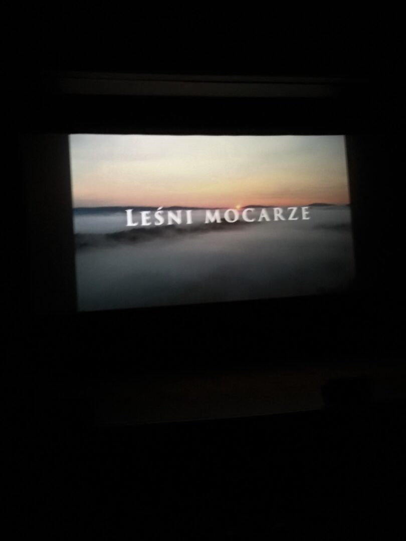 leśne wędrówki filmowe