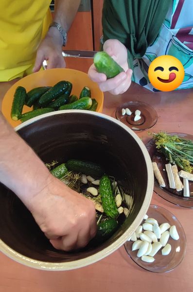 Robimy ogórki małosolne