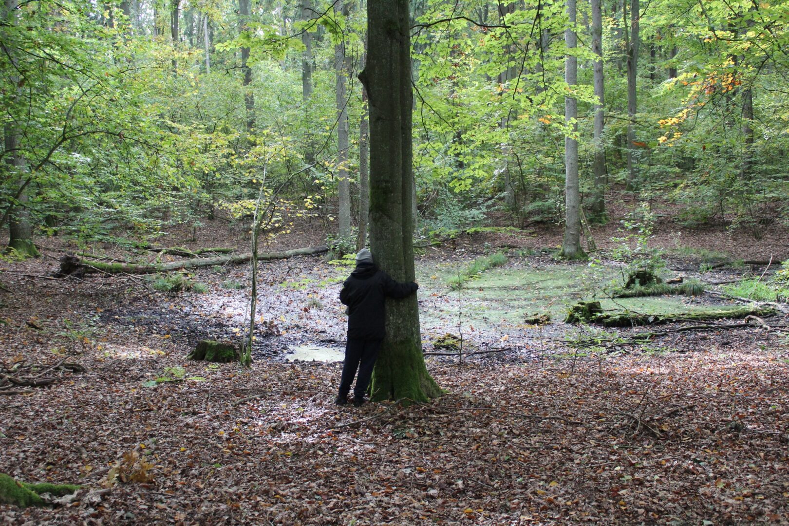 Światowy Dzień Zdrowia Psychicznego