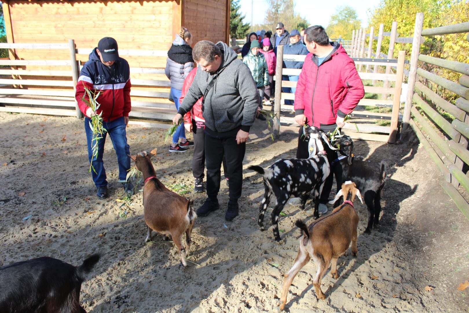 Agroturystyka Alpajka